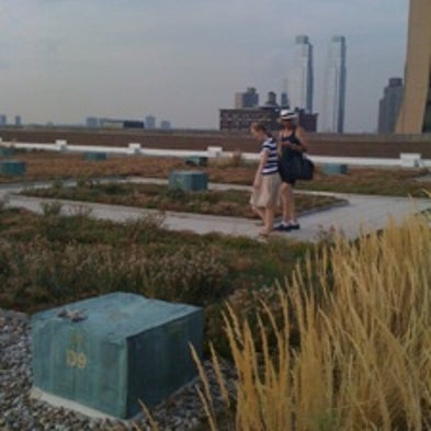 From Anthrax to <i>Allium</i>: Views from a New York Postal Facility's Green Roof [Slide Show]