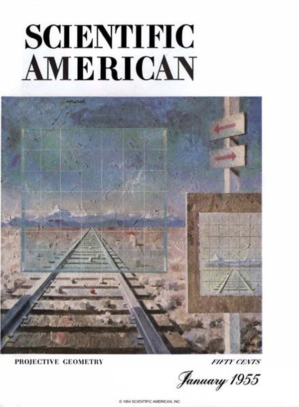 Scientific American Magazine Vol 192 Issue 1