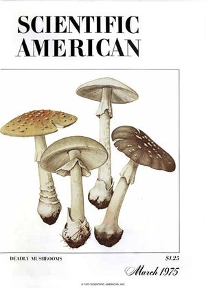 Scientific American Magazine Vol 232 Issue 3