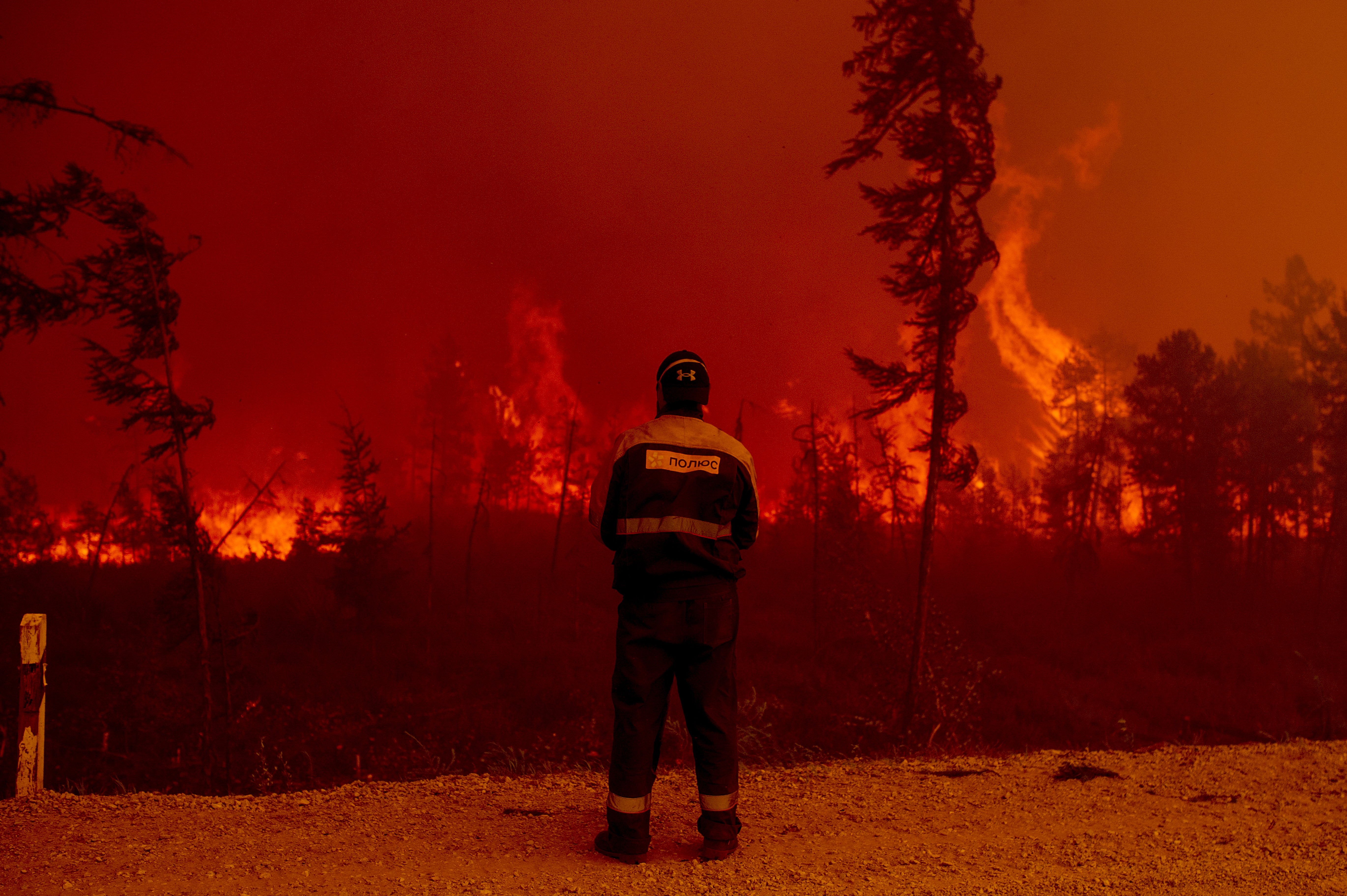 Wildfires Broke Records around the World in 2021 thumbnail