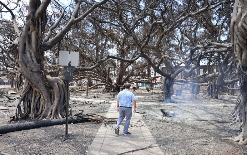Certains endroits surprenants risquent d’être victimes d’incendies de forêt urbains dévastateurs comme celui de Maui