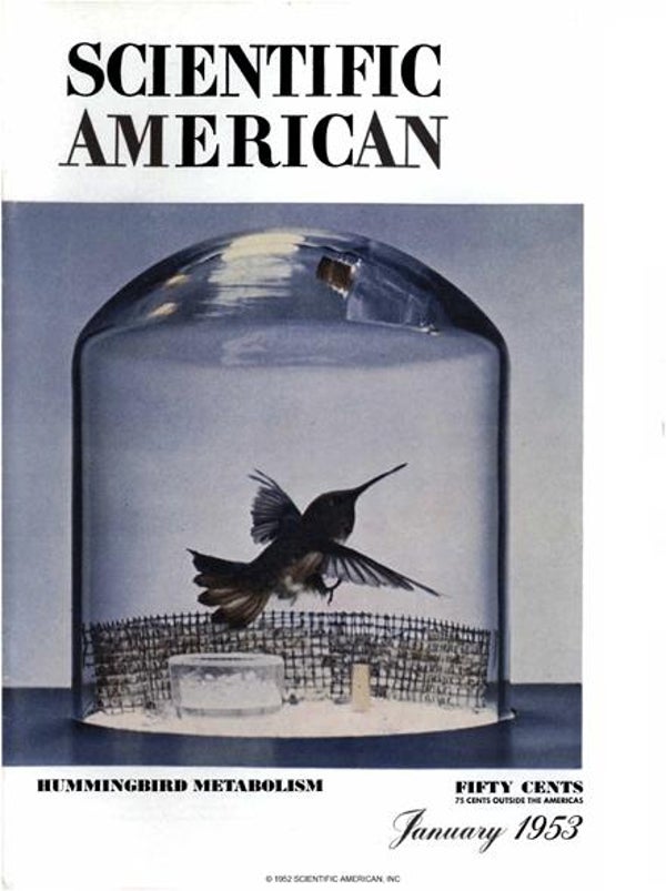 Scientific American Magazine Vol 188 Issue 1
