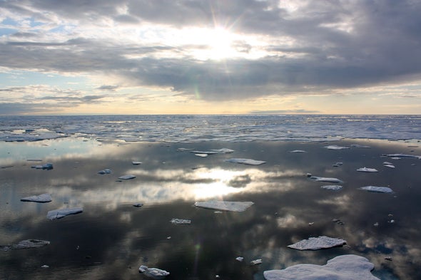 Erosion May Transform the Arctic Food Chain