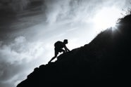 The Pursuit Of Resilience Scientific American