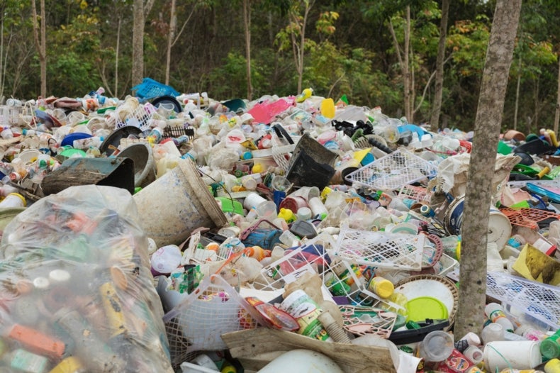 Bacteria Devour Polluting Plastic in Landfills - Scientific American