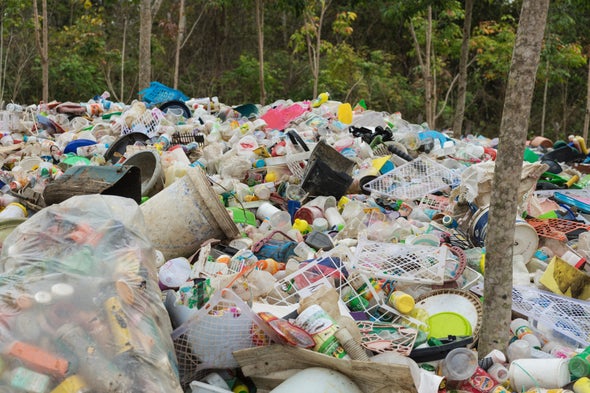 Bacteria Devour Polluting Plastic in Landfills
