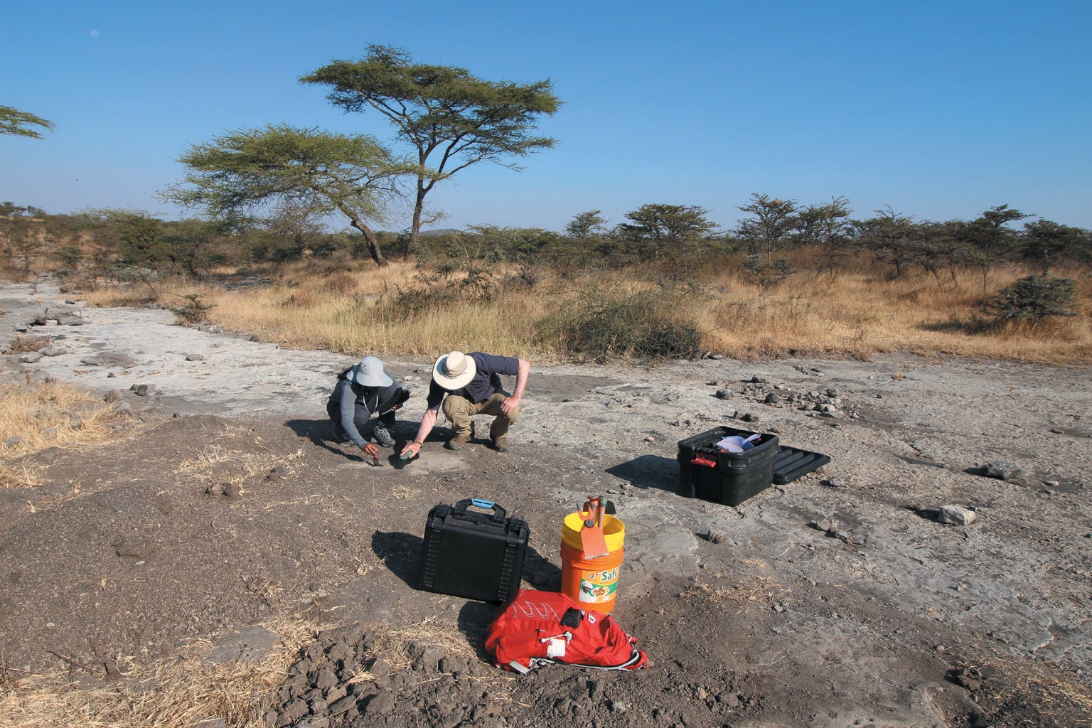 Researchers studying Site A tracks at Laetoli,