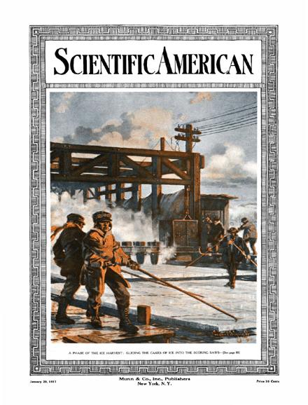 Scientific American Magazine Vol 116 Issue 3