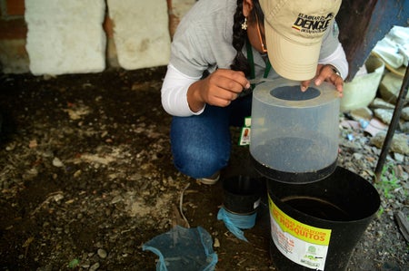 A researcher checks mosquito traps