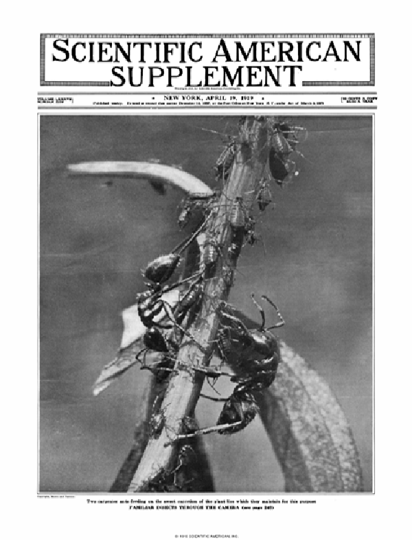 SA Supplements Vol 87 Issue 2259supp
