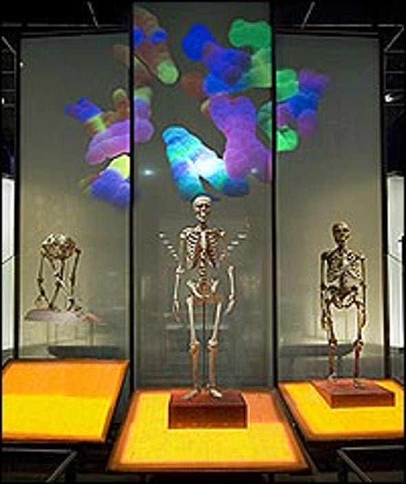 Gallery: The Hominids Take Manhattan