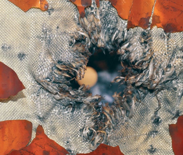 A Space Debris Impact Test