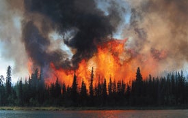 Wildfire Is Transforming Alaska and Amplifying Climate Change
