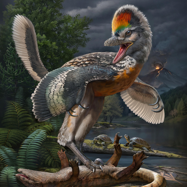 Bird-like dinosaur rendering