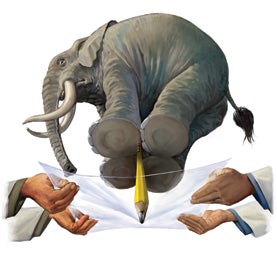 Elephant Illustrates Important Point - Scientific American