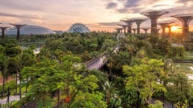 Science for Sustainable Cities