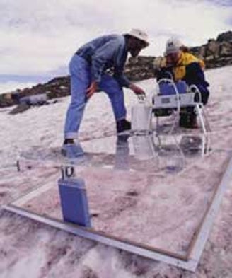 Snow Algae Absorb Greenhouse Gas