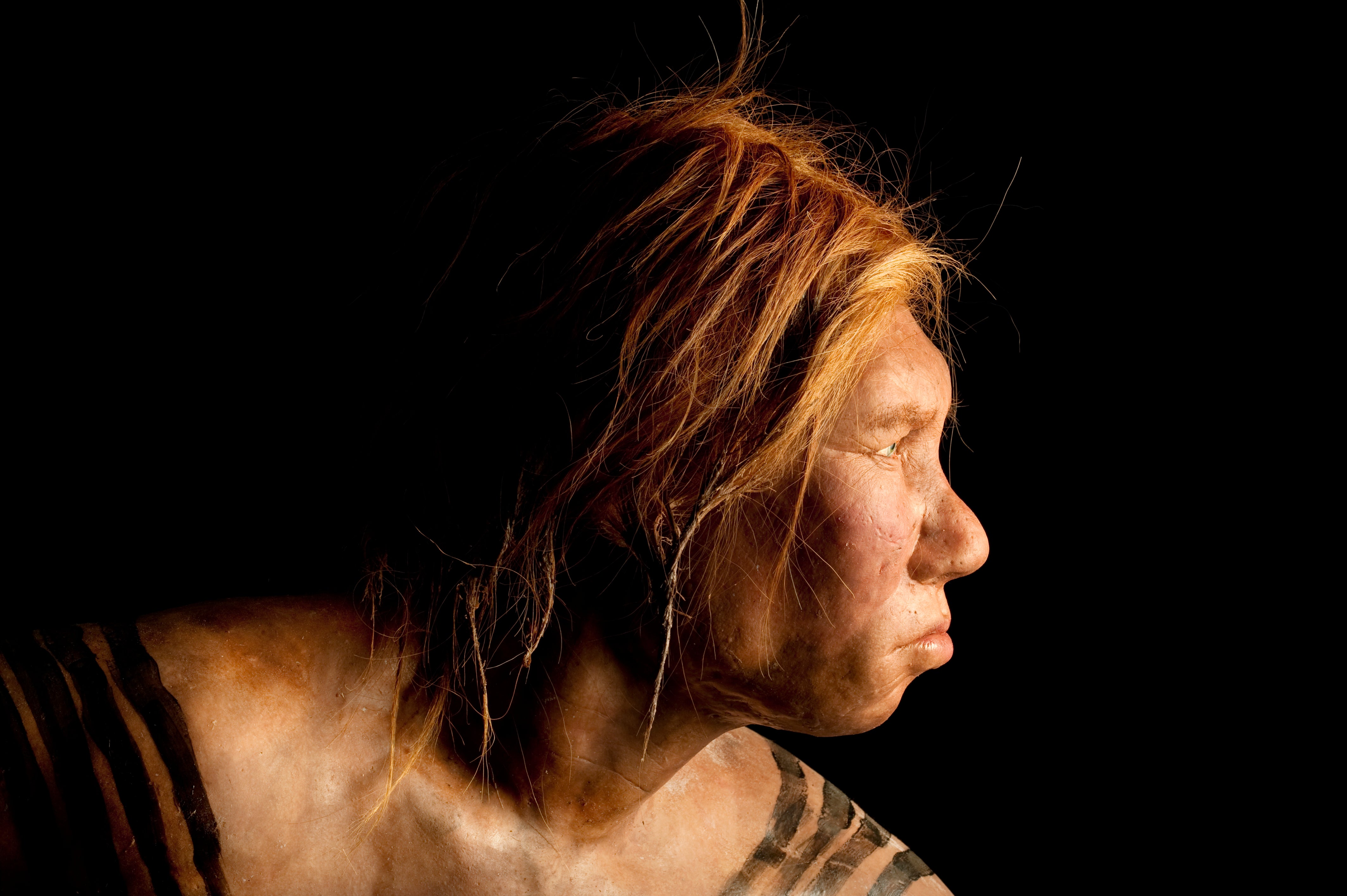 Sibirya Mağarasında Bulunan Bilinen İlk Neandertal Ailesi