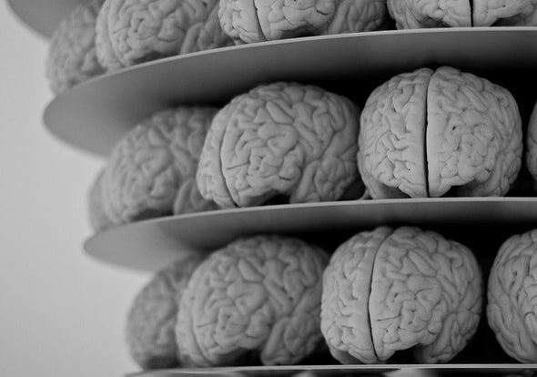 "Mini-Me" Brains Mimic Disease, Raise Hope for Eventual Therapies