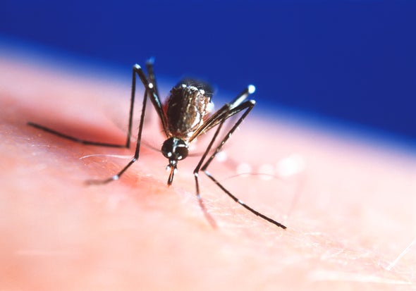 Spread of Deadly Mosquito-borne Disease May Be Linked to Climate Change