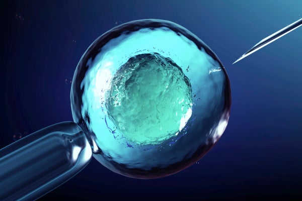 3d illustration of artificial insemination, or in vitro fertilization, of an egg cell.