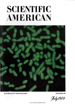 Scientific American Magazine Vol 231 Issue 1