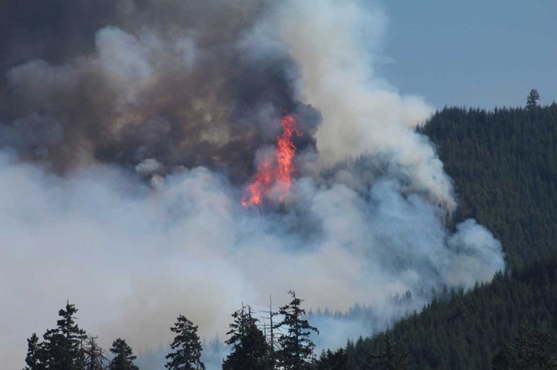 Global Warming Helped Exacerbate Biggest Year Ever for U.S. Wildfires ...