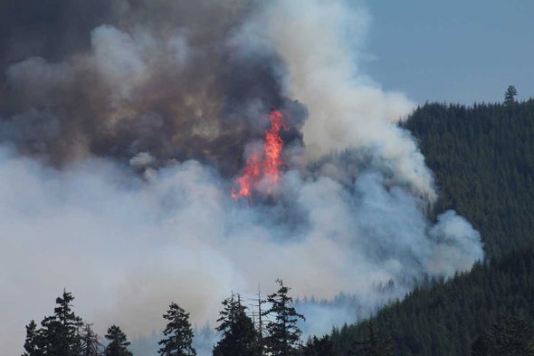 Global Warming Helped Exacerbate Biggest Year Ever for U.S. Wildfires