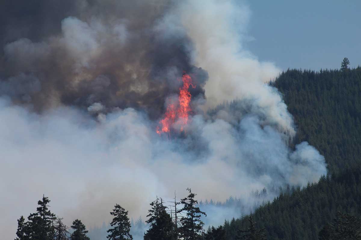 Global Warming Helped Exacerbate Biggest Year Ever for U.S. Wildfires ...