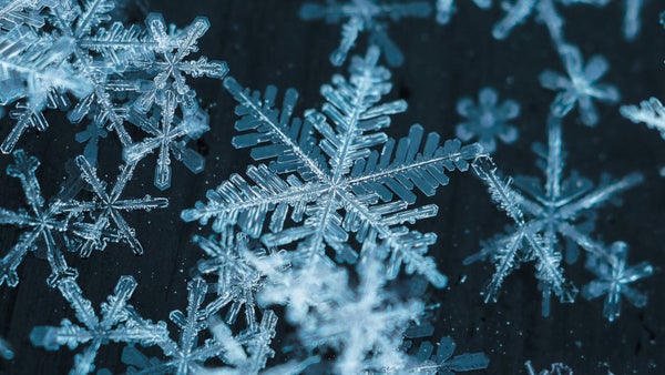Close-up image of a snowflake.