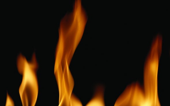 Heat Sensor Has Snaky Sensitivity