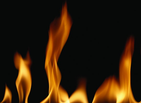 Heat Sensor Has Snaky Sensitivity