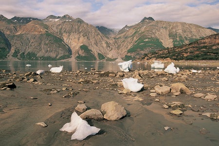 A melting glacier with some small pieces of ice in foreground.
