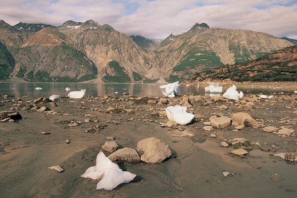 A melting glacier with some small pieces of ice in foreground.