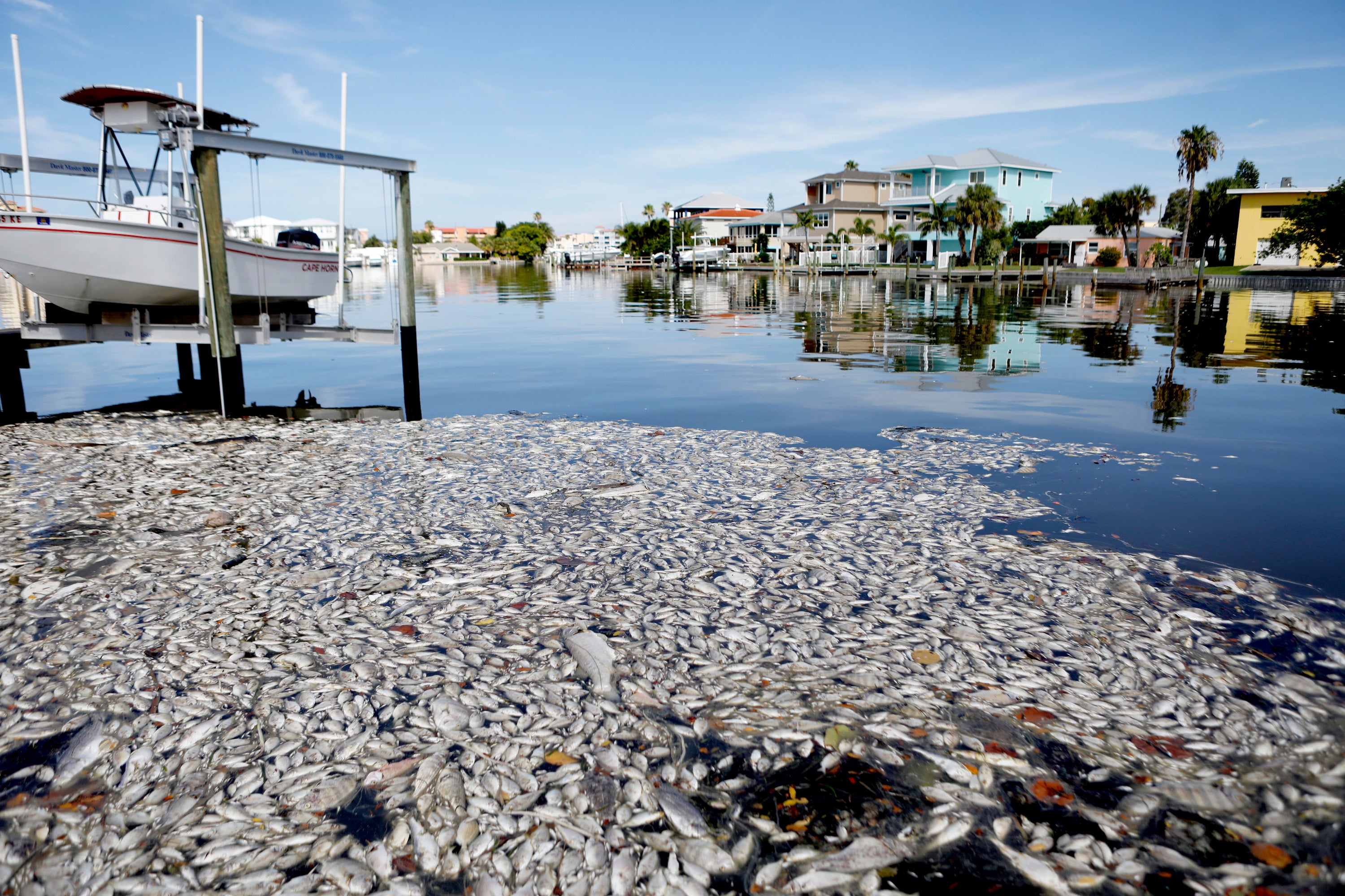 Marine Oxygen Levels Are the Next Great Casualty of Climate Change - Scientific American