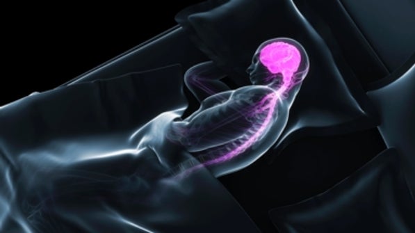 What Happens In The Brain During Sleep Scientific American