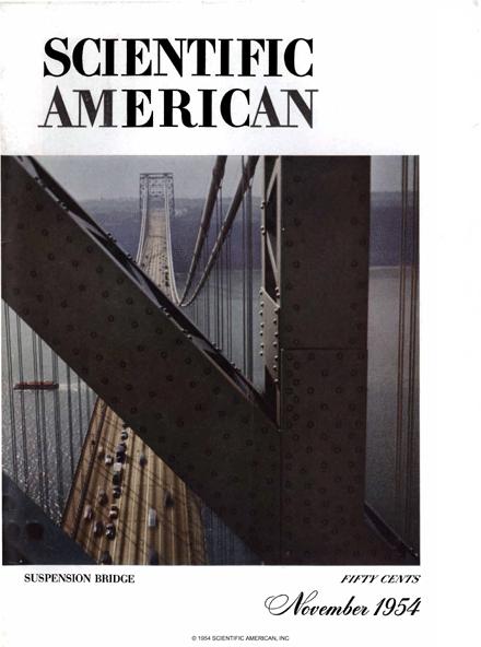 Scientific American Magazine Vol 191 Issue 5