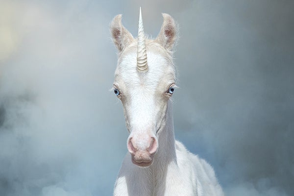 An altered image of a white newborn Welsh pony made to look like a unicorn