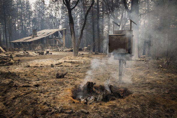 From Pine Cones to Hobbit Holes, Mimicking Nature Can Help Humans Adapt to Wildfires