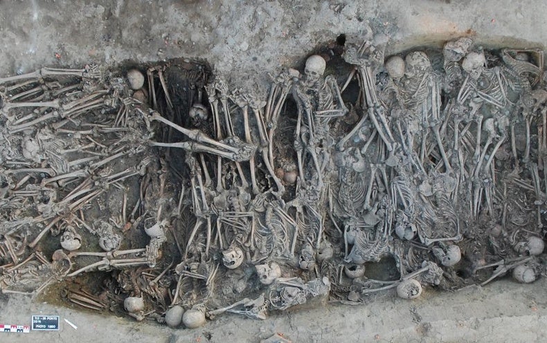 Teeth Tell Black Death Genetic Tale