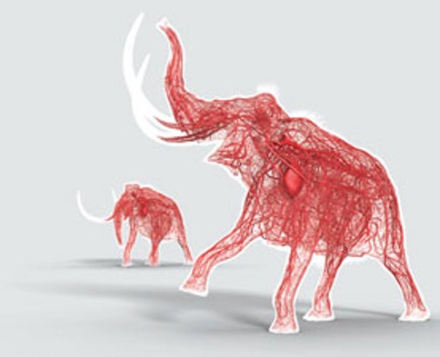 Ancient DNA Research Revolutionizes Scientists' Understanding of Extinct Animals - Scientific American Ancient DNA Research Revolutionizes Scientists' Understanding of Extinct Animals - Scientific American
