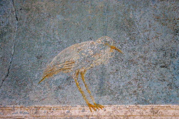 Volcanic Ash Threatens Pompeii's Buried Murals
