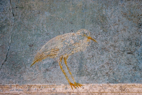 Frescoe excavated from the buried city of Pompeii.