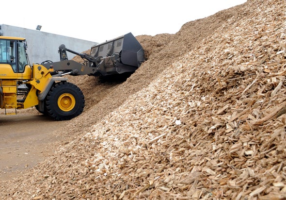 Congress Says Biomass Is Carbon-Neutral, but Scientists Disagree