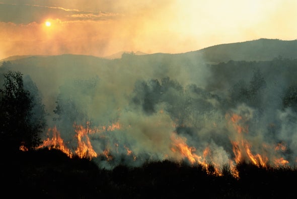 Nature Docs Avoid Habitat Destruction