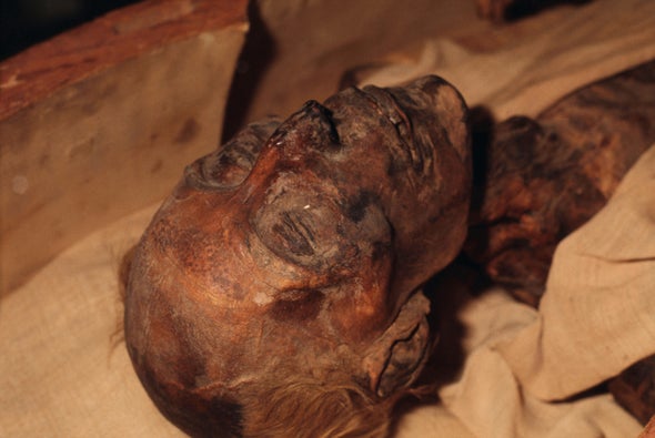 Scientists Must Unravel a Thorny Mummy Controversy