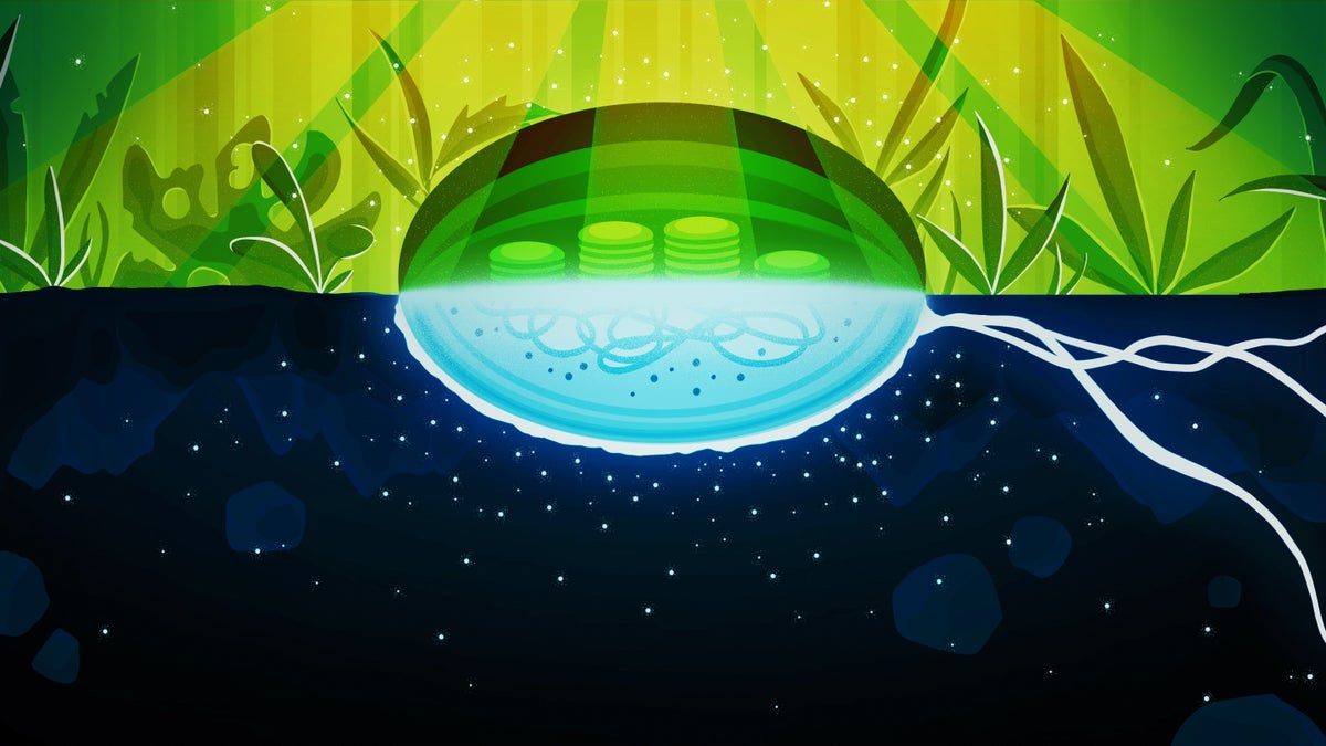 Cells Discovered Making 'Dark Oxygen' Underground Scientific American