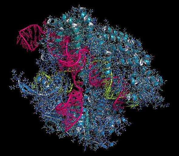 Genome Editing: 7 Facts About a Revolutionary Technology