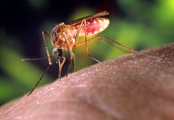 A Revolutionary Genetic Experiment Is Planned for a West African Village--If Residents Agree
