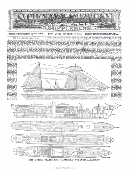 SA Supplements Vol 16 Issue 408supp
